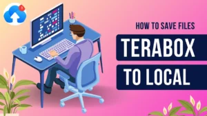 terabox to local storage